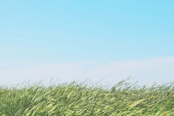 Kasyno Ted Bingo Wsparcie